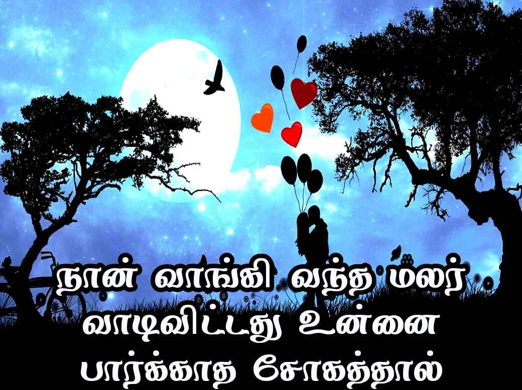 Love quotes in Tamil 