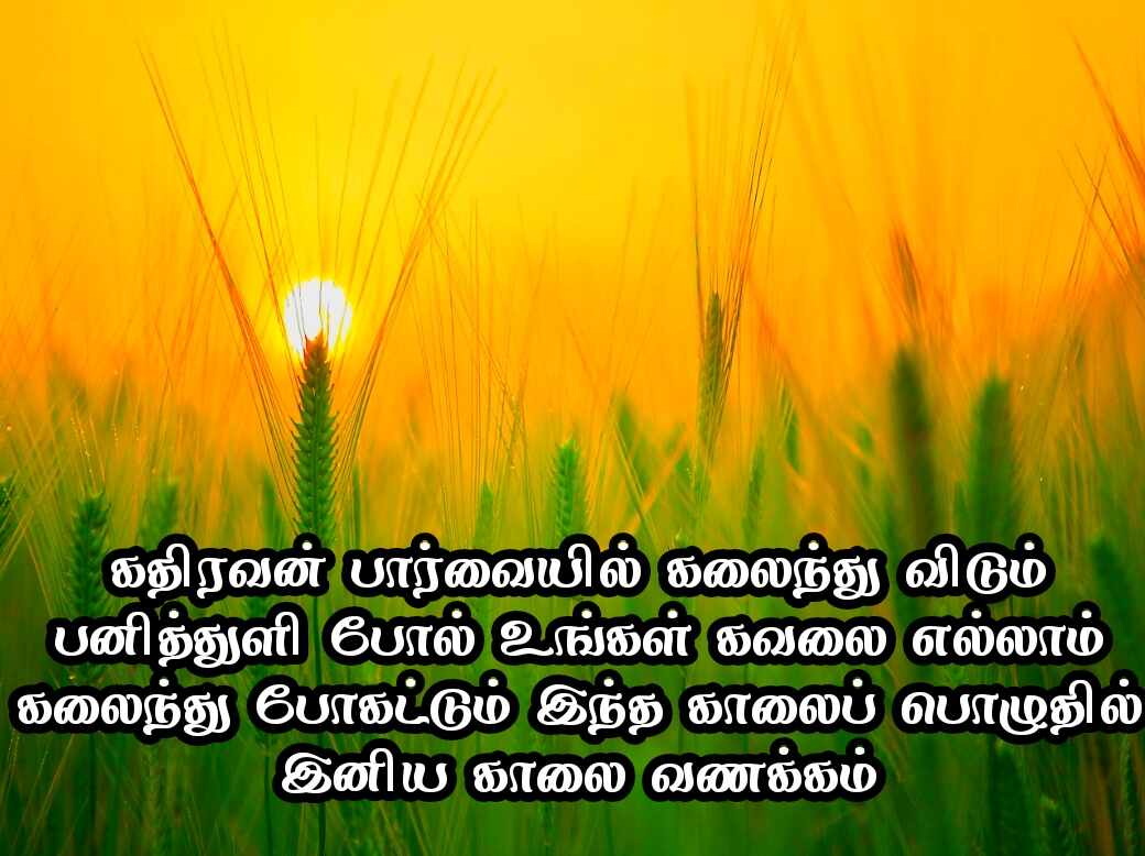 Good Morning Quotes in Tamil 