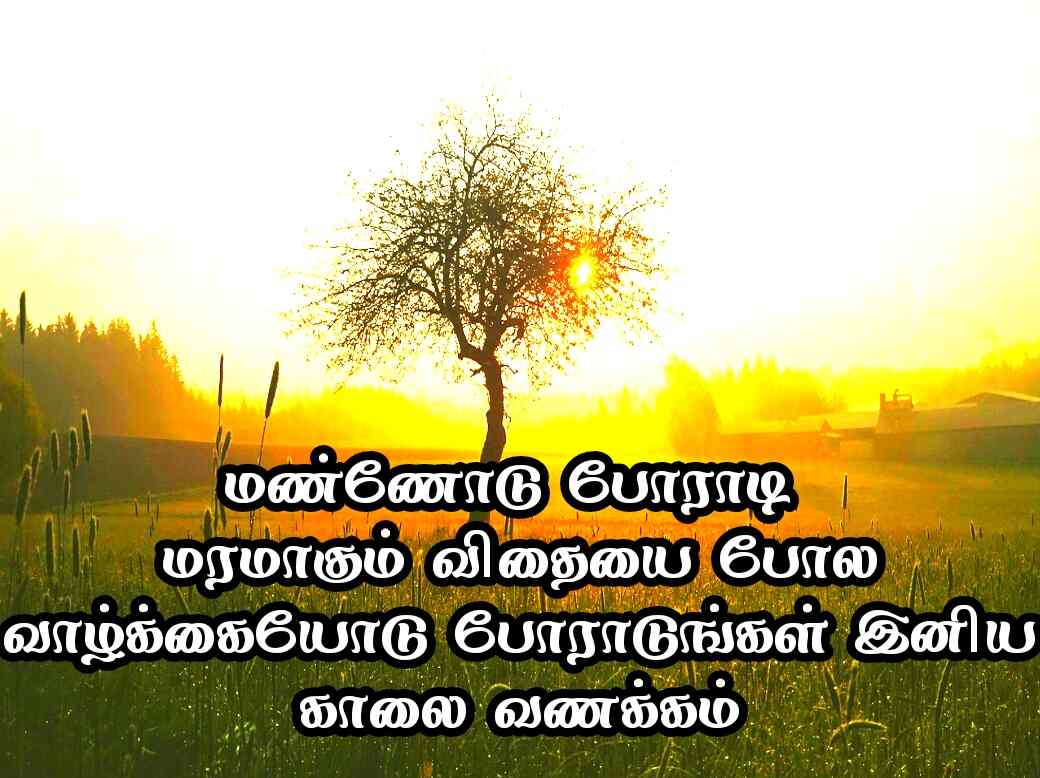 Good Morning Quotes in Tamil 